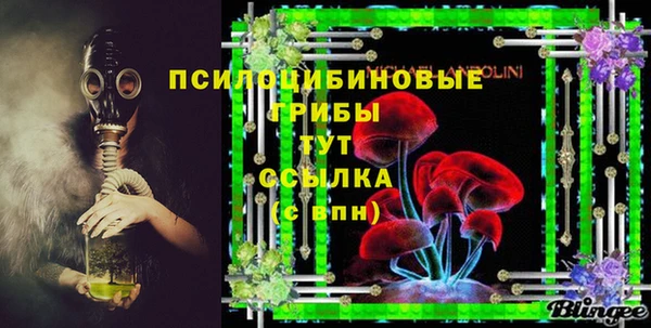 дурь Арсеньев